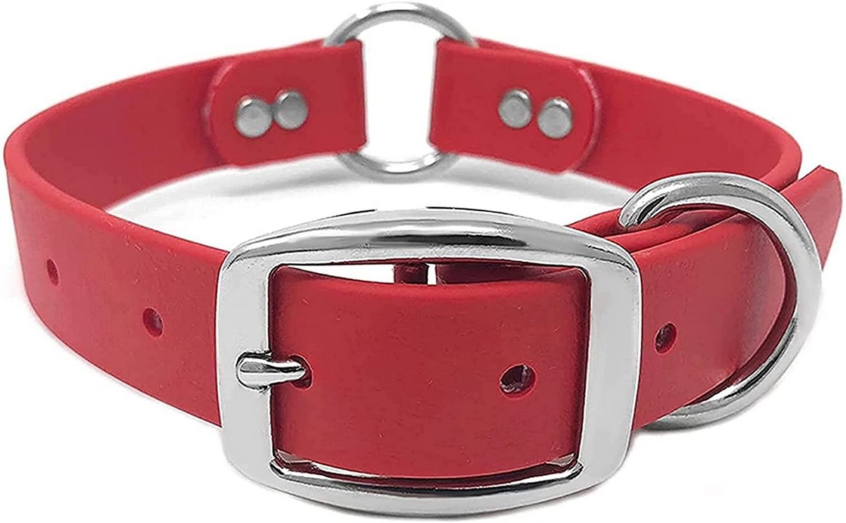 red-dog-collar